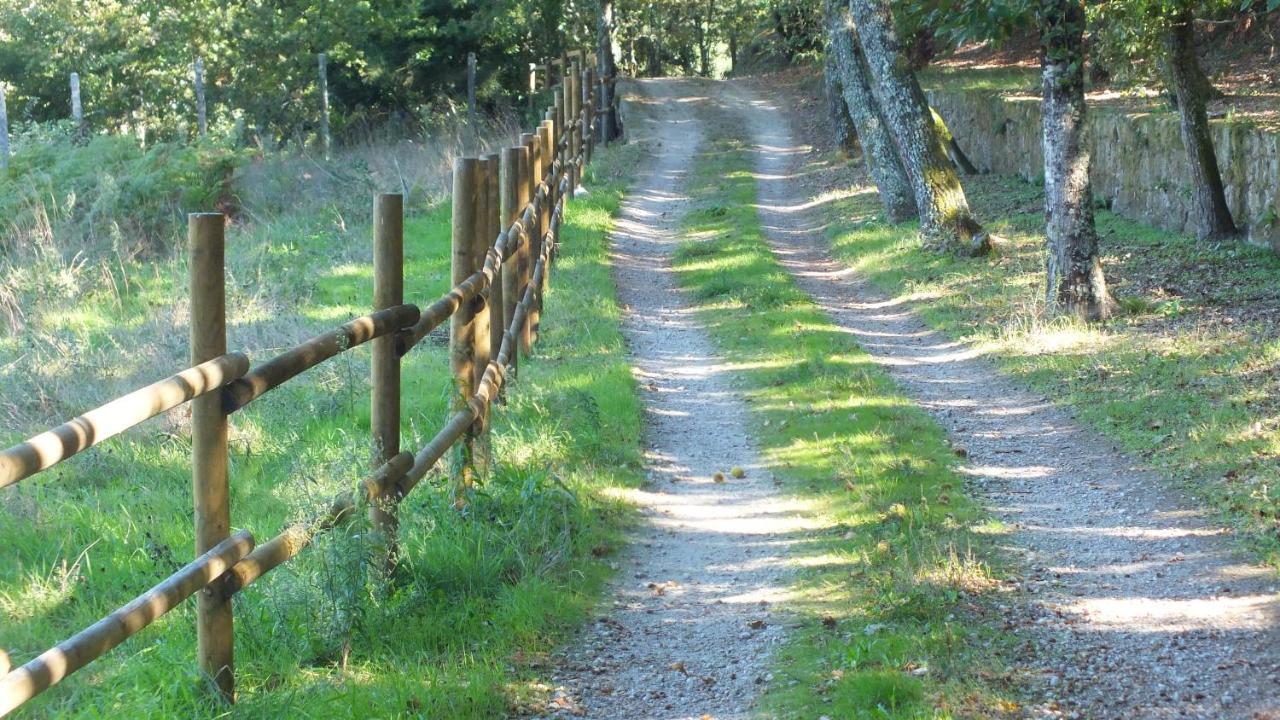 Quinta Do Caritel Villa Vouzela Bagian luar foto